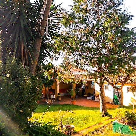 Lugar Saloio Sintra Bed and Breakfast Mem Martins Exteriör bild