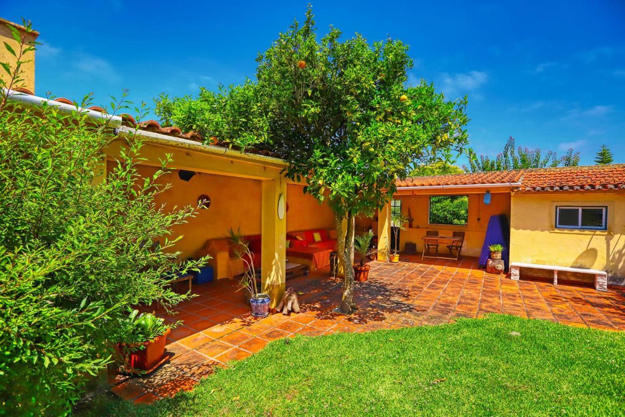 Lugar Saloio Sintra Bed and Breakfast Mem Martins Exteriör bild